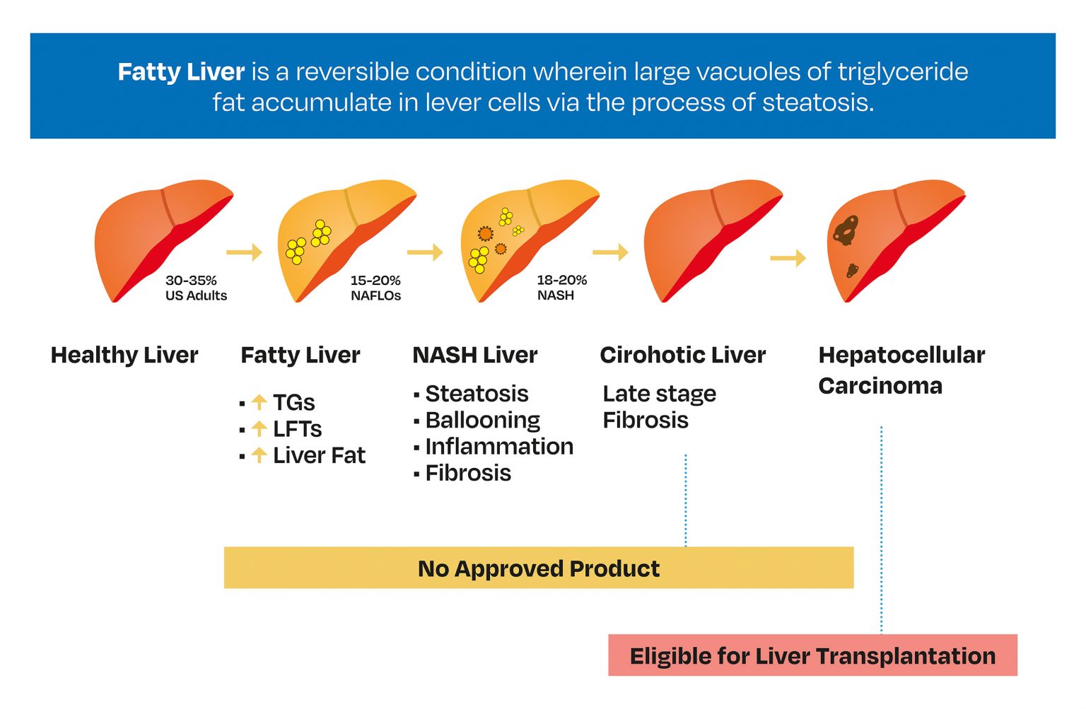 Biomarker Evaluation | Exploristics